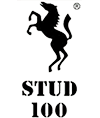 Пролонгатор STUD100