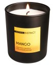 Свеча ароматическая с феромонами Natural Instinct Манго 180 гр