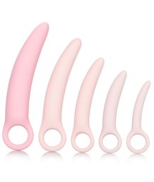 Набор из 5 фаллоимитаторов Inspire Silicone Dilator Kit розовые