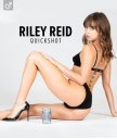 Сквозной мастурбатор Fleshlight Quickshot Riley Reid копия вагины и попки