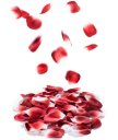 Лепестки роз с запахом Bijoux Indiscrets Rose Petals Explosion