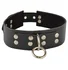Широкий ошейник с клепками и кольцом фото 1