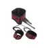 Ошейник с манжетами Scandal Posture Collar with Cuffs фото 1