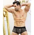 Боксёры с леопардовым принтом Candy Boy Dallas фото 1