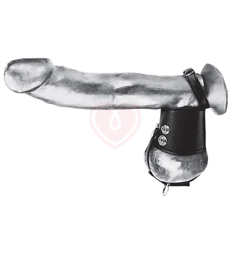 Кольцо на член и мошонку с кольцом для груза Cock Ring 2 with Ball Stretcher фото 1