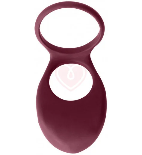 Двойное эрекционное кольцо с вибрацией Pure Passion Daydream бордовое фото 1
