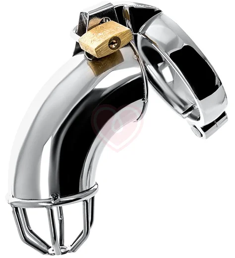 Мужской пояс верности с клеткой на головке Metal by Toyfa серебряный фото 1