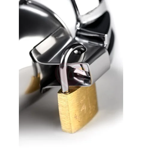 Мужской пояс верности с клеткой на головке Metal by Toyfa серебряный фото 4