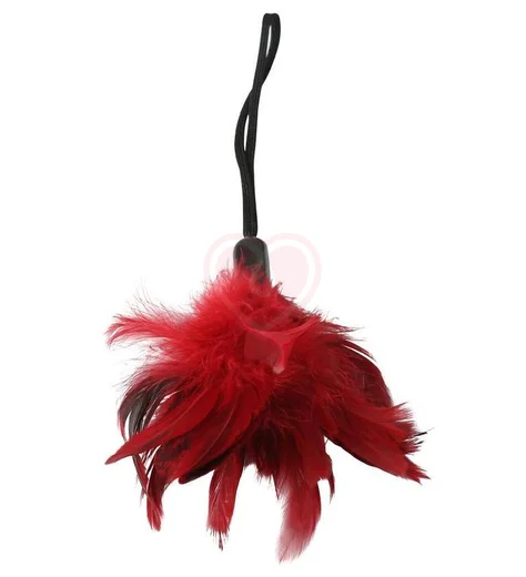 Набор из маски, оков и щекоталки Sportsheets Sexy Slave Kit фото 3