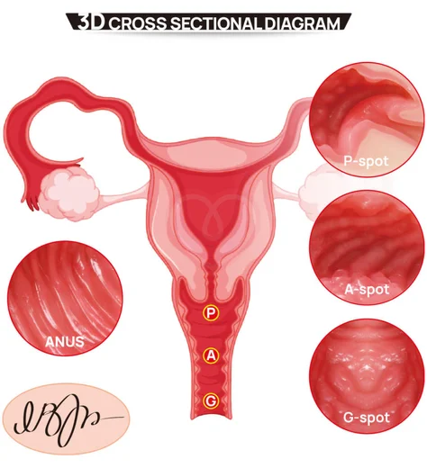 Мастурбатор-полуторс с вагиной и анусом Onahole Real Vagina с двойным слоем фото 9