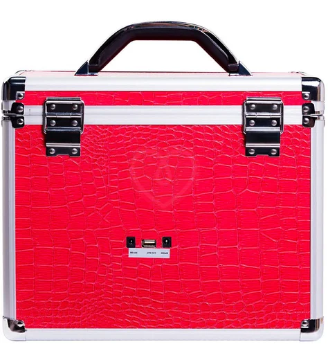 Секс-машина Чемодан Diva Wiggler с двумя насадками розовая фото 4