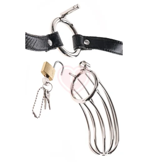 Клетка верности для пениса The Prisoner фото 2