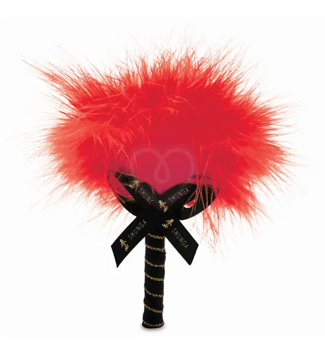 Массажная пудра с перышком Shunga Kissable Massage Powder Клубника и шампанское фото 4