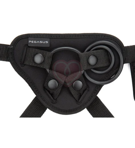 Реалистичный страпон Pegasus с вибрацией и пультом управления 16,5 см розовый фото 3