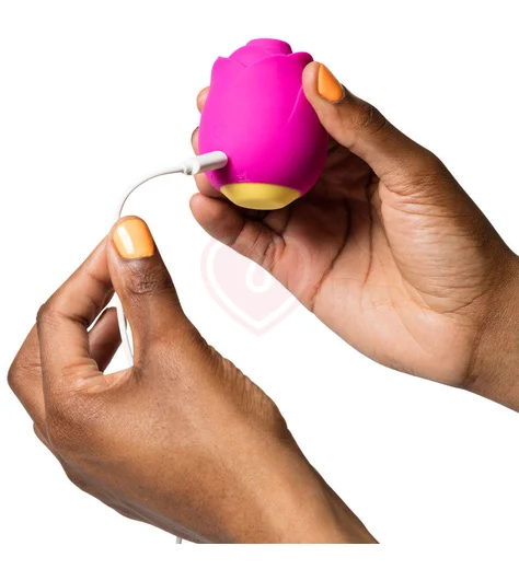 Бесконтактный клиторальный стимулятор Romp Suction Rose фото 5