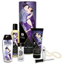 Подарочный набор косметики Shunga Carnal Pleasure Kit Плотские утехи