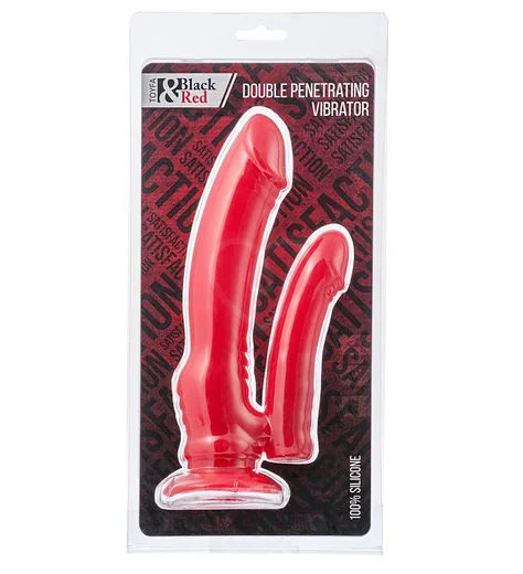 Вибратор для двойного проникновения ToyFa Black&Red красный фото 2