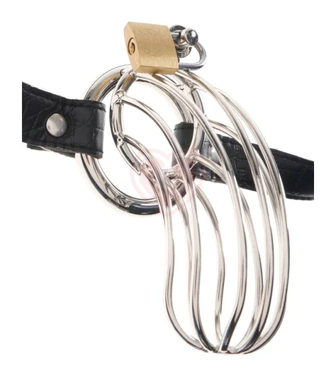 Клетка верности для пениса The Prisoner фото 1