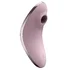 Вакуумный вибростимулятор Satisfyer Vulva Lover 1 пыльно-розовый фото 1
