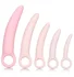 Набор из 5 фаллоимитаторов Inspire Silicone Dilator Kit розовые фото 1