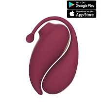 Набор из виброяйца и вакуумного стимулятора Inspiration