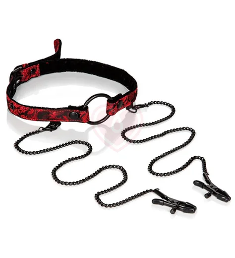Кляп-рамка Scandal Open Mouth Gag with Clamps с зажимами на соски фото 1