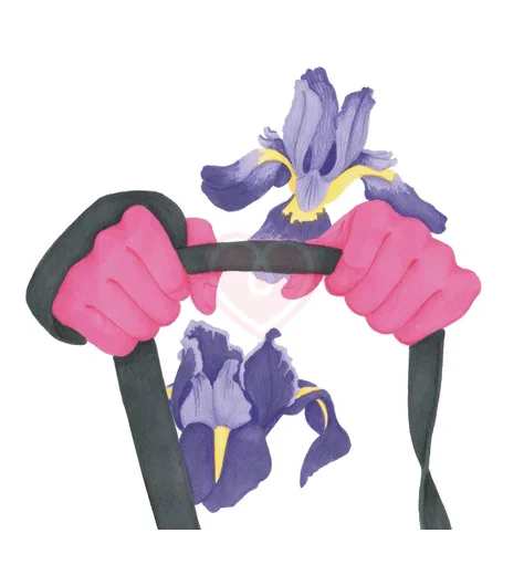 Открытка Ирисы фото 1