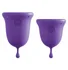 Менструальные чаши Jimmyjane фиолетовые фото 1