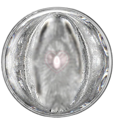 Сквозной мастурбатор Fleshlight Quickshot Stoya прозрачный фото 1