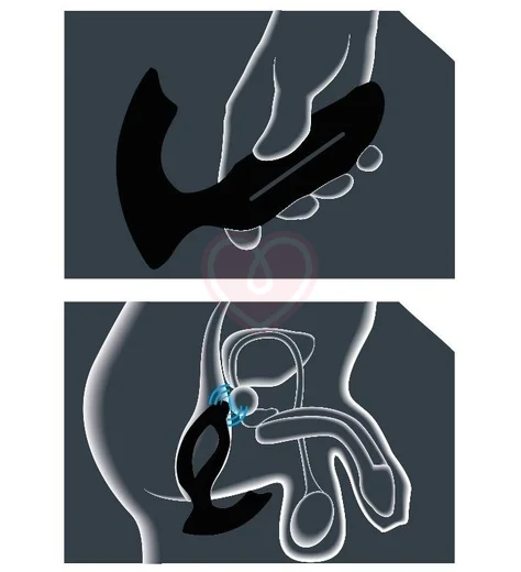 Стимулятор простаты JoyDivision Xpander X2 размер S фото 4