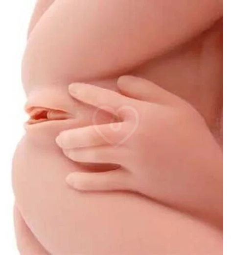 Мастурбатор тело Kokos Hera 03 с тремя отверстиями и вибрацией фото 4