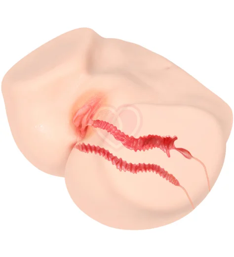 Мастурбатор-полуторс с вагиной и анусом Onahole Real Vagina с двойным слоем фото 7