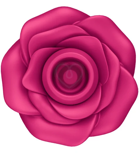 Вакуумный стимулятор Satisfyer Pro 2 Classic Blossom с дополнительной насадкой розовый фото 2