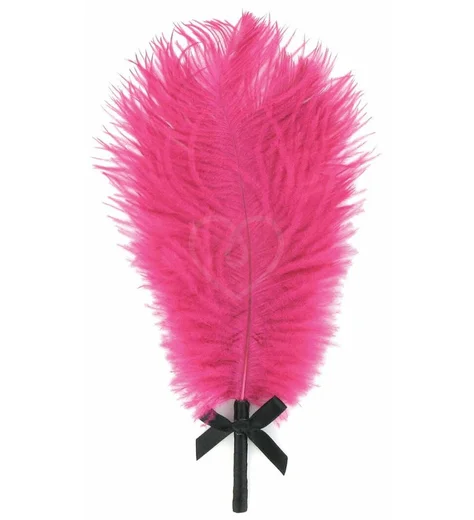 Набор романтичных мини-игрушек Rianne S Kit d'Amour с чёрной сумочкой фото 3