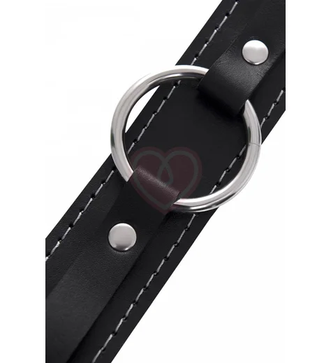 Двухслойный ошейник с поводком Pecado BDSM черный фото 7