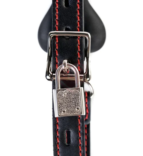 Кляп-трензель в виде косточки с замочком ToyFa Theatre чёрный фото 4