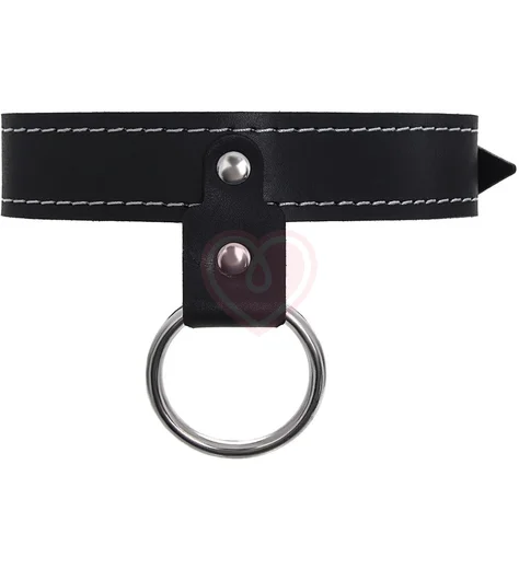 Ошейник с цепью-поводком Pecado BDSM черный фото 3