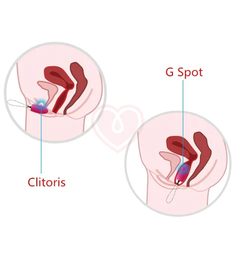 Виброяичко с дистанционным пультом Svakom Elva фиолетовое фото 4