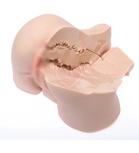 Мастурбатор полуторс с вагиной и попкой Naked Factory Nicole телесный фото 2