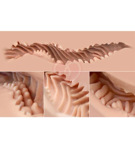 Мастурбатор полуторс с вагиной и попкой Naked Factory Kate телесный фото 3