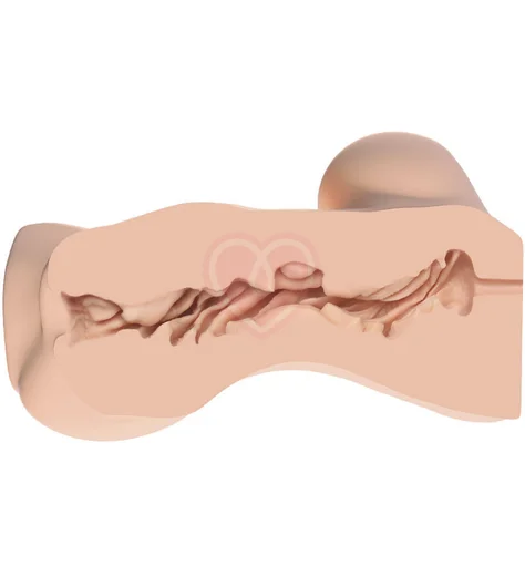 Мастурбатор торс вагина Naked Factory Jessica A телесный фото 5