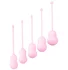 Набор из 5 вагинальных шариков Flovetta Tulips розовый фото 1