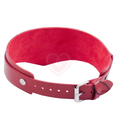 Ошейник Лунный Свет с двухслойным ремешком и колечком красный фото 2