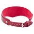Ошейник Лунный Свет с двухслойным ремешком и колечком красный фото 2