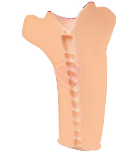 Мастурбатор-ротик с язычком Toyfa Juicy Pussy Juicy Lips фото 5