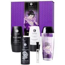 Подарочный набор косметики Shunga Naughtier Kit
