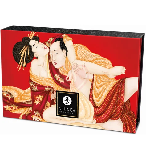 Массажная пудра с перышком Shunga Kissable Massage Powder Клубника и шампанское фото 2