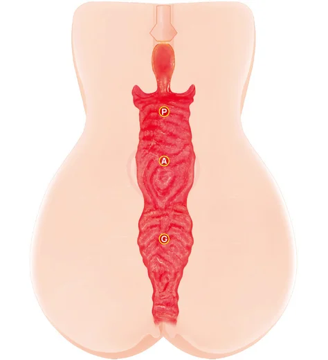 Мастурбатор-вагина Kokos Jenny Onahole Edition 005 с вибропулей телесный фото 4