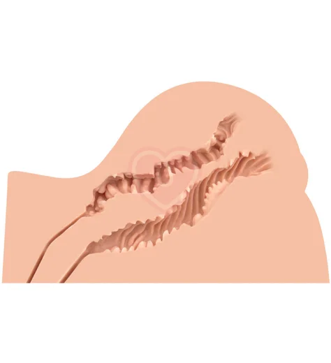 Мастурбатор полуторс с вагиной и попкой Naked Factory Kate телесный фото 4