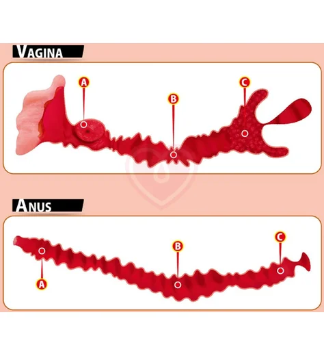 Мастурбатор вагина и анус Kokos Adel с двойным слоем фото 4